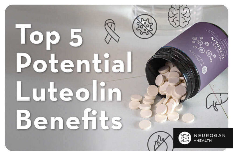 5 Luteolin Benefits