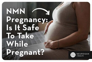 Woman holding her pregnant belly. Text: NMN pregnancy: is it safe to take while pregnant? 