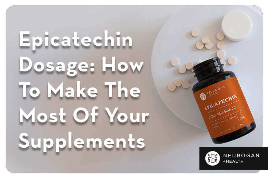 Epicatechin Dosage Guide | To Take Before or After Workout – Neurogan ...
