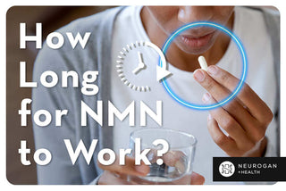 A man holding NMN capsule. Text: How long for NMN to work? 