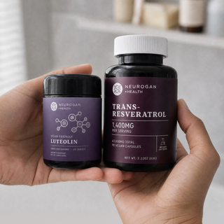 Memory Supplements