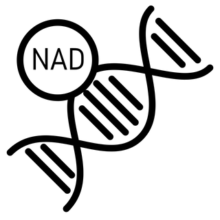 Icon illustrating NAD (Nicotinamide Adenine Dinucleotide) supplements for cellular energy production*.