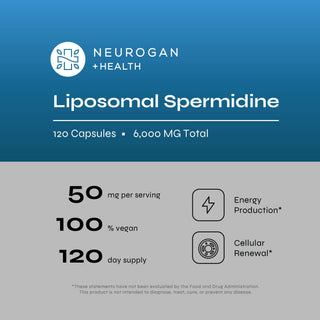 Liposomal Spermidine Capsules