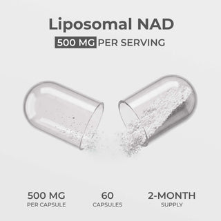 Liposomal NAD+ Capsules 500mg per serving, 60 capsules total, 2-month supply for enhanced absorption and cellular energy.