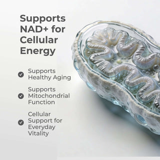 Liposomal NMN Capsules support NAD+ for cellular energy, healthy aging, mitochondrial function, and everyday vitality.