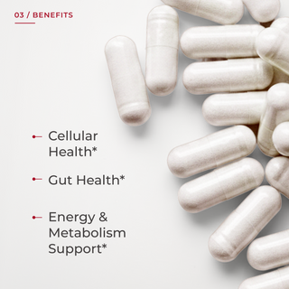 '03 / Benefits' graphic for Neurogan Health Pomegranate Extract Capsules showing a pile of white capsules beside three callouts: cellular health, gut health, and energy and metabolism support.