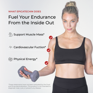 'What Epicatechin Does: Fuel Your Endurance From the Inside Out' infographic listing Support Muscle Mass, Cardiovascular Function, and Physical Energy with checkmarks, beside a photo of a woman in workout gear holding a dumbbell.
