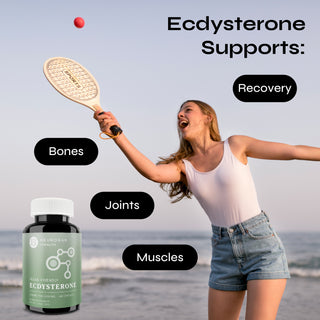 Ecdysterone Supplement