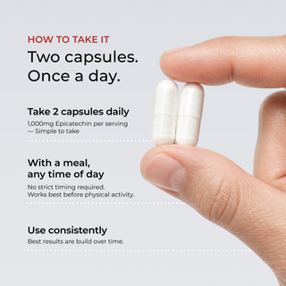 'How to Take It: Two capsules, once a day' graphic showing fingers holding two white Epicatechin capsules, with instructions to take 2 capsules daily (1,000mg Epicatechin per serving) with a meal, any time of day, used consistently.