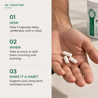 Dosing routine graphic for Neurogan Health PEA Pro with three numbered steps — take 3 capsules daily preferably with a meal, take at once or split morning and evening, and make it a habit to support long-term wellness — beside a close-up of a man's open palm holding three white PEA Pro capsules with the jar visible in the background.