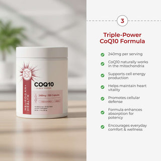 The Cognition Stack supplement bundle featuring Triple-Power CoQ10 formula for brain health and energy support.