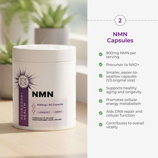 The Cognition Stack supplement bundle featuring NMN Capsules for brain health and cellular support.