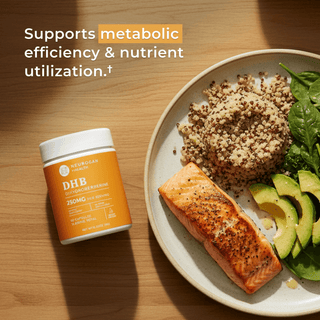 Dihydroberberine Capsules on a plate with salmon, quinoa, and avocado, supporting metabolic efficiency and nutrient utilization.
