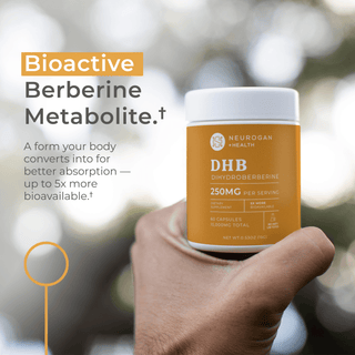 Dihydroberberine Capsules by Neurogan Health showcasing bioactive berberine metabolite for better absorption.