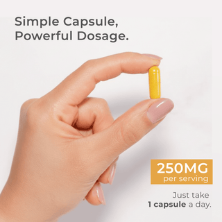 Hand holding a yellow Dihydroberberine Capsule, showcasing 250mg dosage, emphasizing powerful benefits.