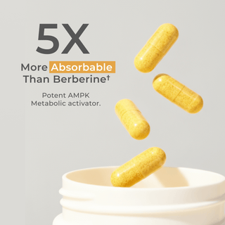 Dihydroberberine Capsules with text highlighting 5X more absorbable than regular berberine, showcasing potent health benefits.