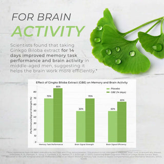 Close-up of ginkgo leaves with water droplets next to a study chart showing improved memory and brain activity after 14 days.