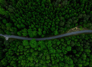 Aerial view of a winding road surrounded by lush green trees in a dense forest.