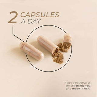 Open Fenugreek Seed capsules with powdered content, vegan-friendly and made in USA.