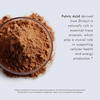 Fulvic Acid powder derived from Shilajit, supporting cellular health and energy production.