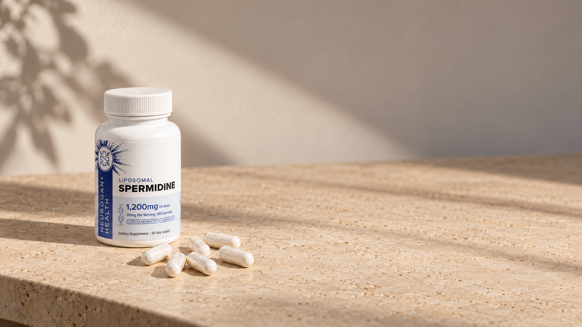 Liposomal Spermidine bottle on warm travertine beside capsules and sunflower seeds