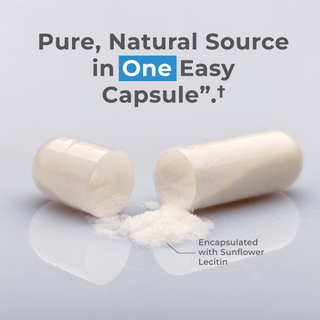Liposomal Spermidine Capsules in one easy capsule, offering superior absorption and cellular support.