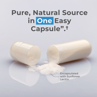 Liposomal Spermidine Capsules