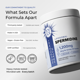 Angled view of a Neurogan Health Liposomal Spermidine bottle beside 'Our Commitment To Quality: What Sets Our Formula Apart' text listing third-party tested, made in USA, and vegan/gluten-free claims, with Vegan Friendly, HPLC Certified, and GMP Certified badges.