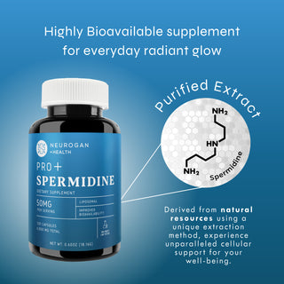 Liposomal Spermidine bottle with diagram of purified spermidine extract and bioavailability benefits.