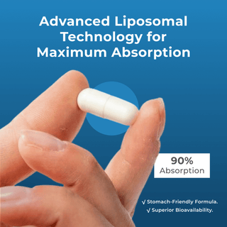 Advanced Liposomal Technology for Maximum Absorption in Liposomal Spermidine Capsules.