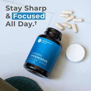 Liposomal Spermidine Capsules in a bottle with capsules, promoting cellular health and focus.
