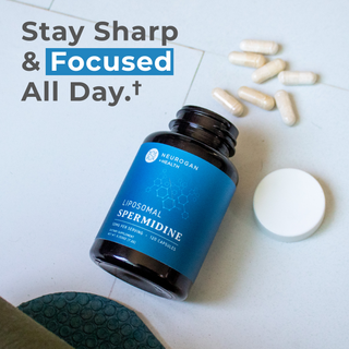Liposomal Spermidine Capsules