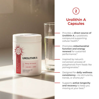 The Workout Stack - Urolithin A Capsules, support for your fitness journey.