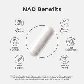 NAD+ Capsules highlighting benefits such as brain function, muscle recovery, and healthy aging.