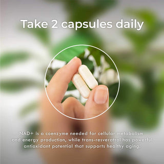 NAD + Resveratrol Capsules