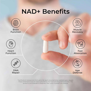 NAD+ Cell Renewer Capsules