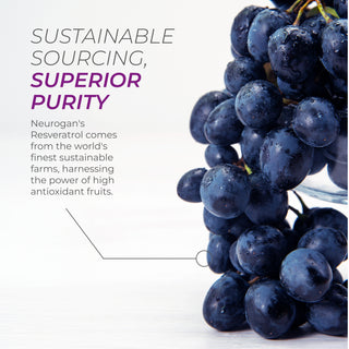NMN + Resveratrol Capsules