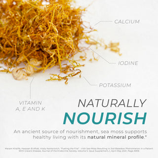 Sea Moss Capsules