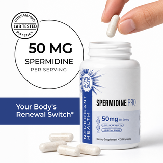 Fingers holding a single Spermidine Pro capsule above an open Neurogan Health Spermidine Pro bottle with loose capsules scattered beside it, next to a 'Guaranteed Lab Tested Potency' seal and '50 MG Spermidine Per Serving' callout reading 'Your Body's Renewal Switch.'