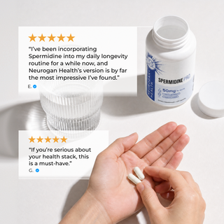 Two five-star customer reviews for Neurogan Health Spermidine Pro — reviewer 'E.' calling it the most impressive Spermidine she's tried and 'G.' calling it a must-have for a serious health stack — beside an open bottle, a glass of water, and two capsules held in a hand.
