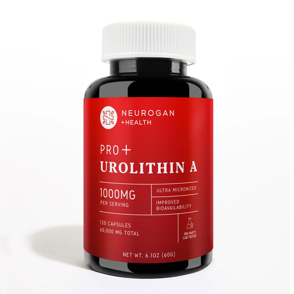 Urolithin A Pro Capsules | 1000mg | Micronized & Natural