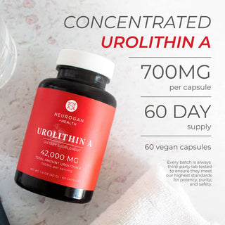 Urolithin A capsules bottle showcasing 700mg per serving, 60-day supply, vegan-friendly dietary supplement.