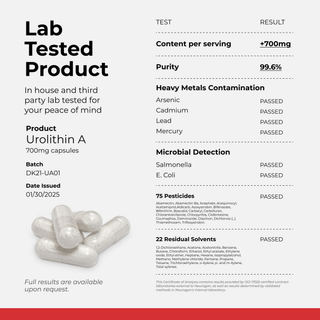Lab tested Urolithin A capsules infographic showing 700mg content and purity results for quality assurance.