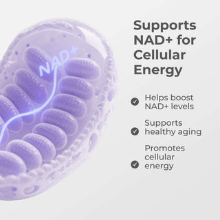NMN Capsules 500MG supporting NAD+ for cellular energy, healthy aging, and boosting NAD+ levels.
