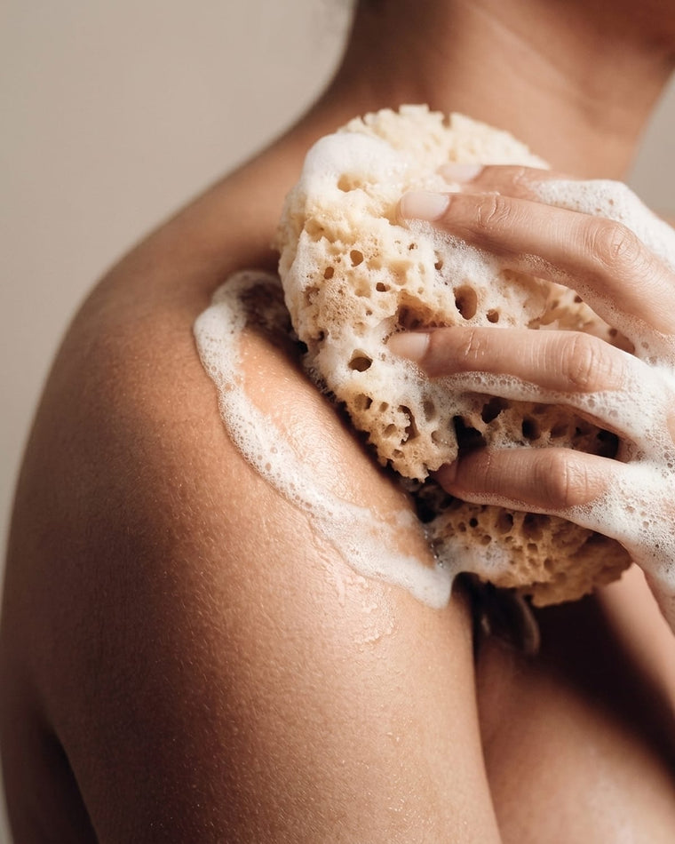 A natural sea sponge with lather on a shoulder