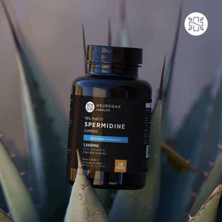 Neurogan Spermidine Gummies bottle with 98% purity, 1500mg, placed among green foliage.