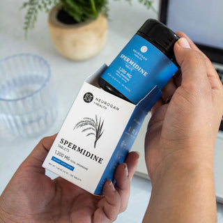 Spermidine Tablets 1,200 mg - Blue-labeled bottle being removed from a white and blue box, 120 tablets.