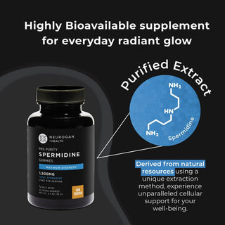 Spermidine supplement with purified extract for cellular support, highly bioavailable, derived from natural resources.